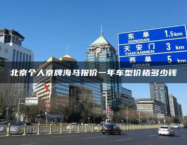 北京个人京牌海马报价一年车型价格多少钱