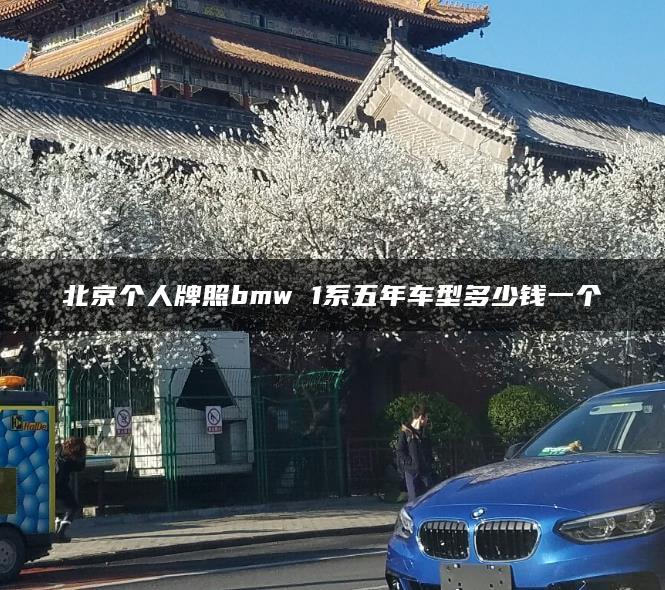 北京个人牌照bmw 1系五年车型多少钱一个