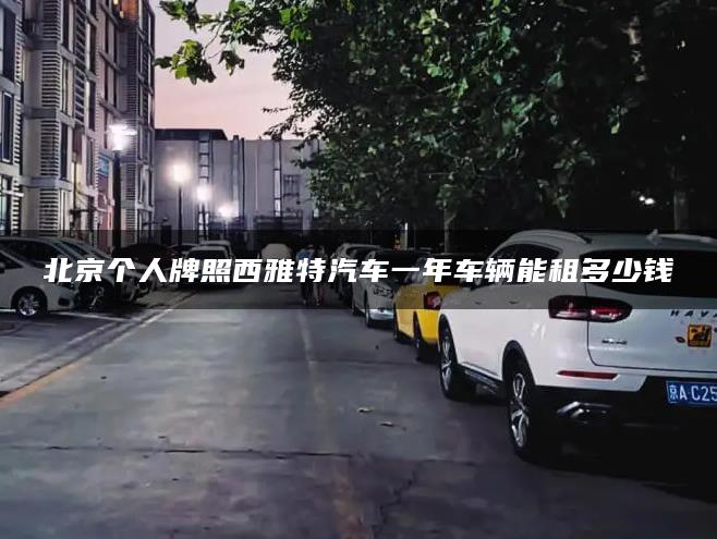 北京个人牌照西雅特汽车一年车辆能租多少钱