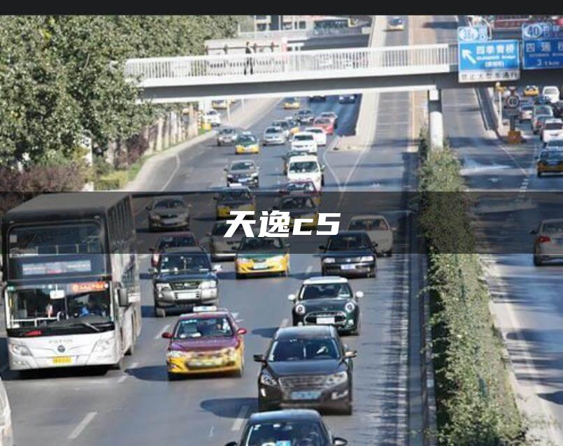 天逸c5