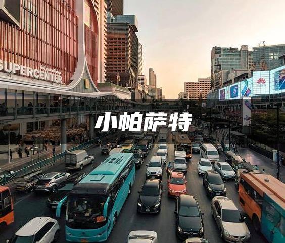 小帕萨特