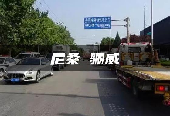 尼桑 骊威