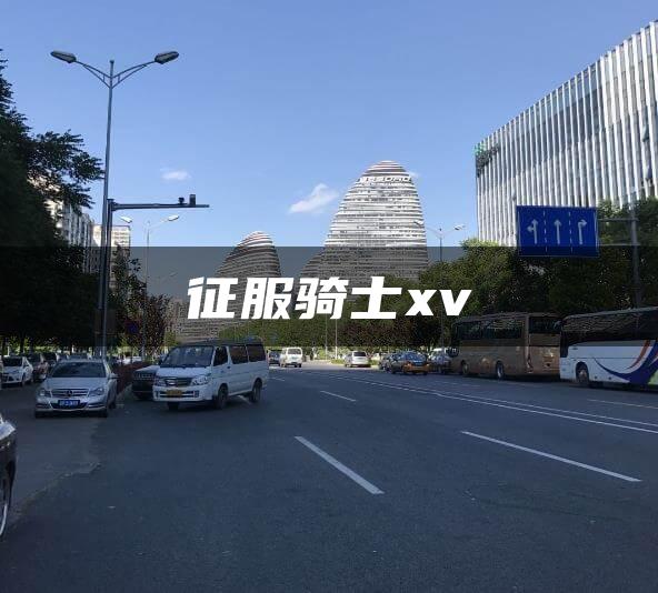 征服骑士xv
