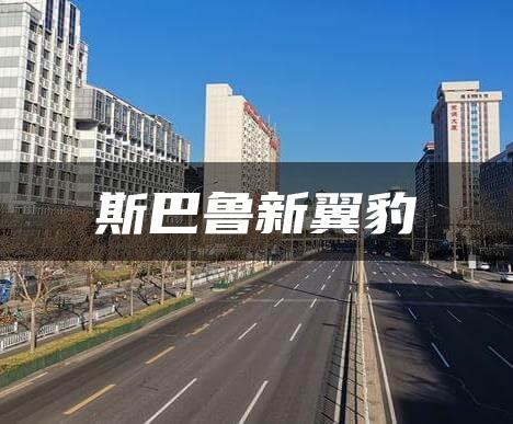 斯巴鲁新翼豹
