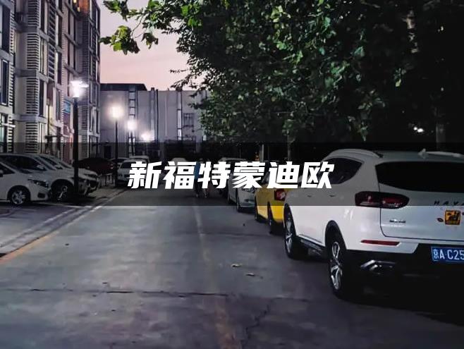 新福特蒙迪欧