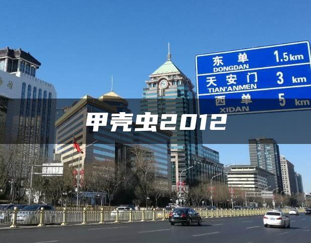 甲壳虫2012