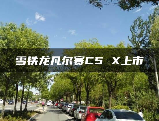 雪铁龙凡尔赛C5 X上市