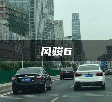 风骏6