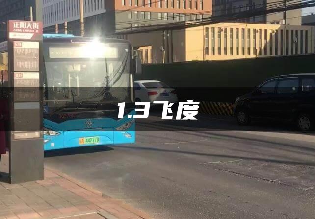 1.3飞度
