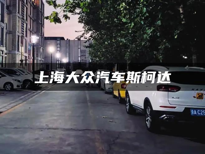 上海大众汽车斯柯达