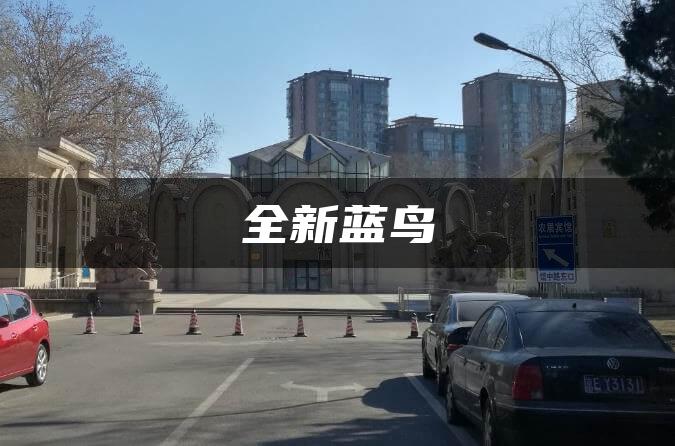 全新蓝鸟