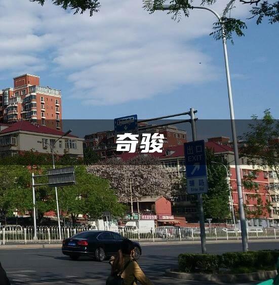 奇骏