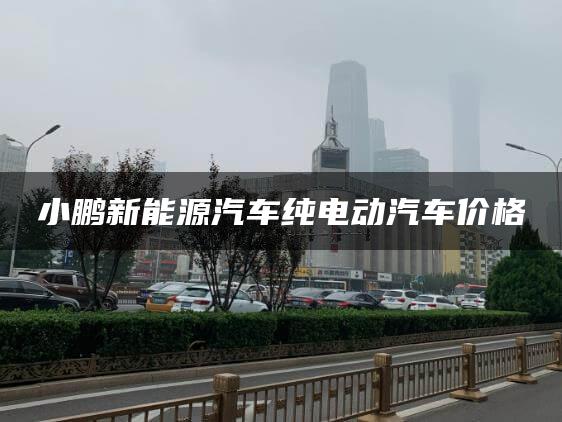 小鹏新能源汽车纯电动汽车价格