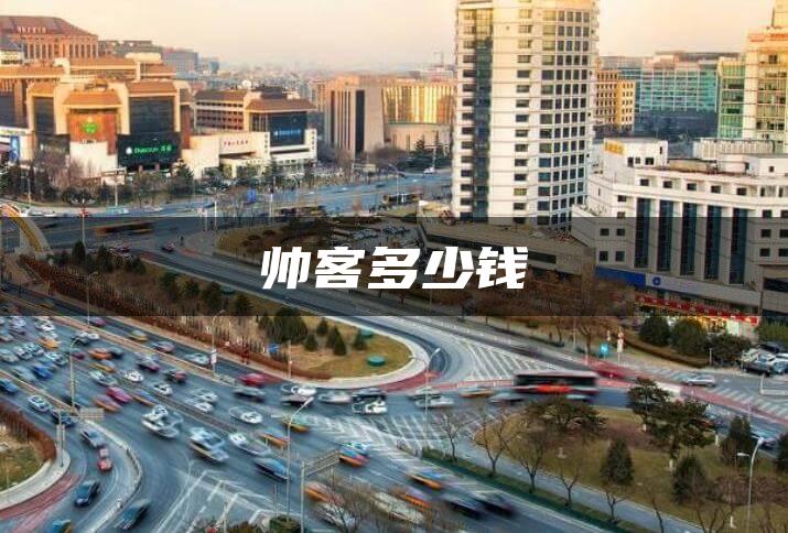 帅客多少钱
