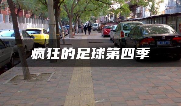 疯狂的足球第四季