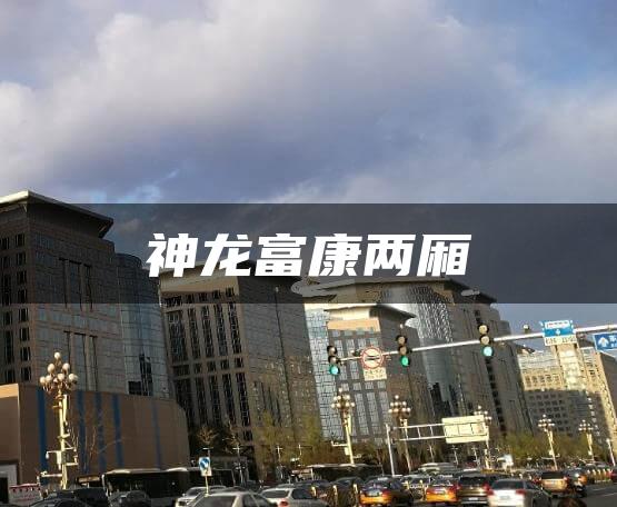 神龙富康两厢