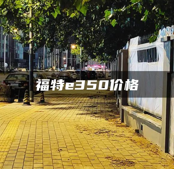 福特e350价格