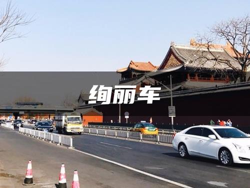 绚丽车