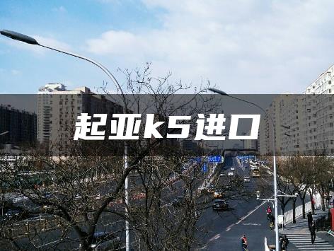 起亚k5进口