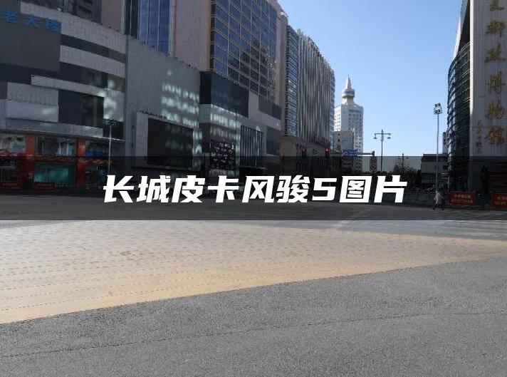 长城皮卡风骏5图片