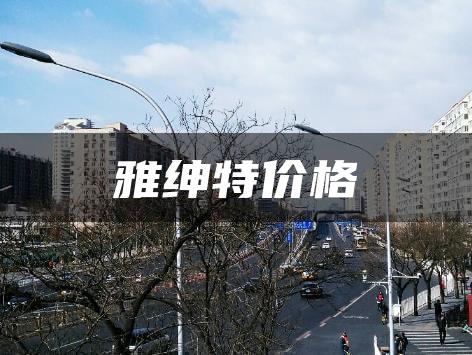 雅绅特价格