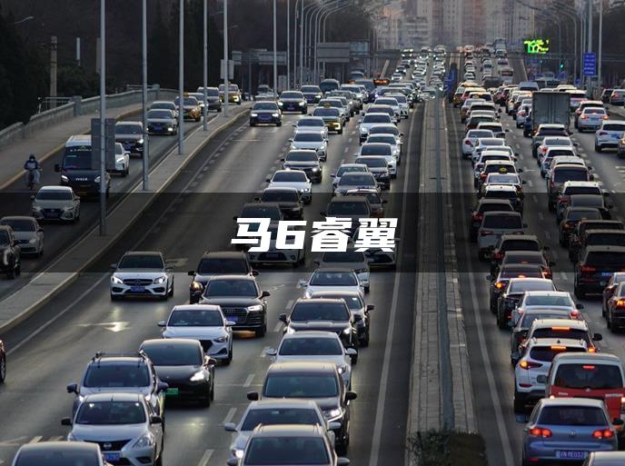 马6睿翼