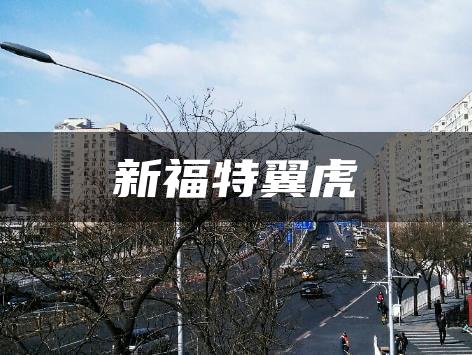新福特翼虎