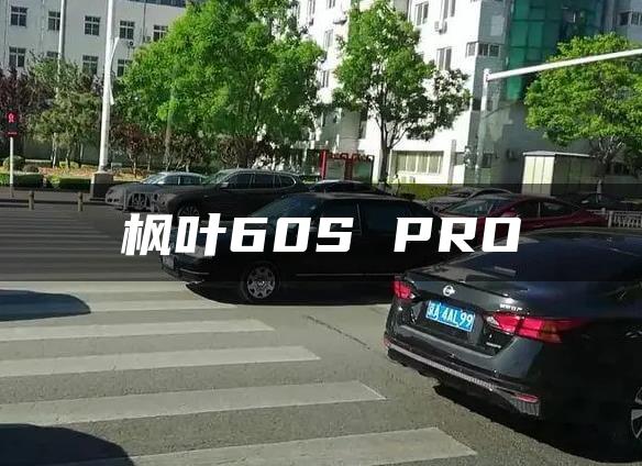枫叶60S PRO