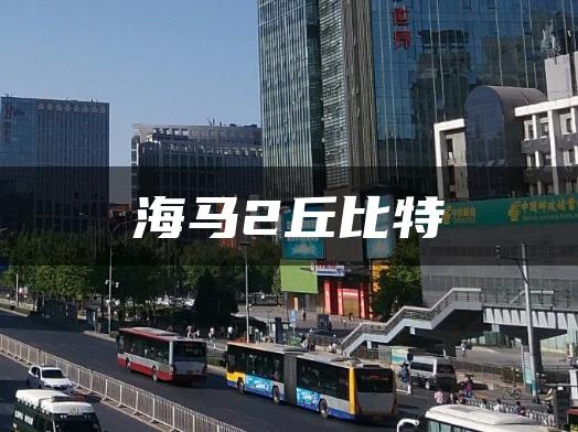 海马2丘比特