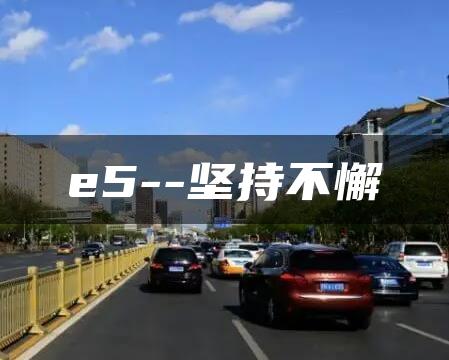 e5–坚持不懈