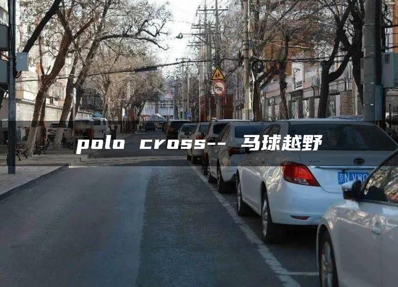 polo cross– 马球越野