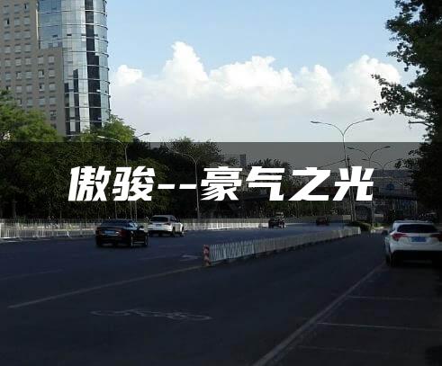 傲骏–豪气之光