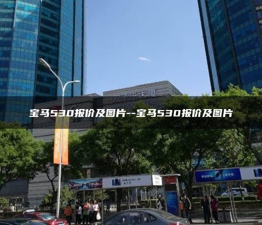 宝马530报价及图片–宝马530报价及图片