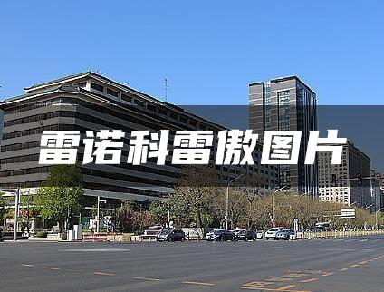 雷诺科雷傲图片