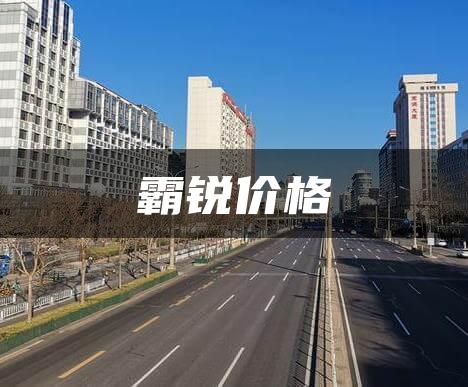 霸锐价格