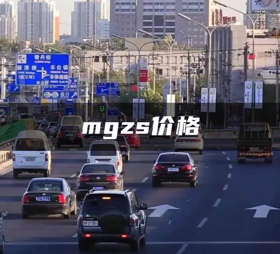 mgzs价格