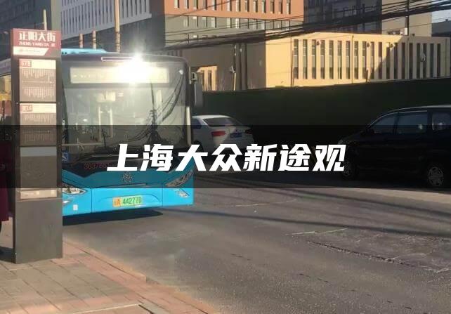 上海大众新途观