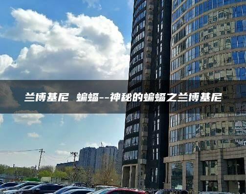 兰博基尼 蝙蝠–神秘的蝙蝠之兰博基尼