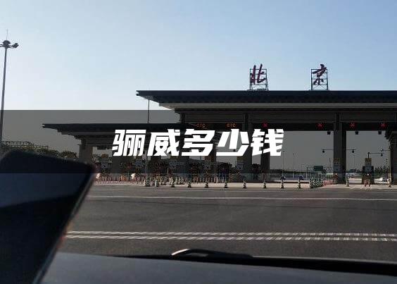 骊威多少钱