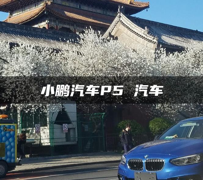 小鹏汽车P5 汽车