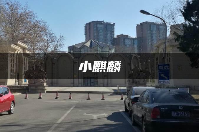 小麒麟