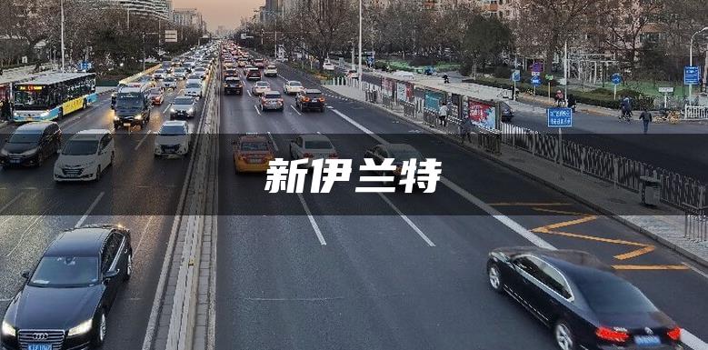 新伊兰特
