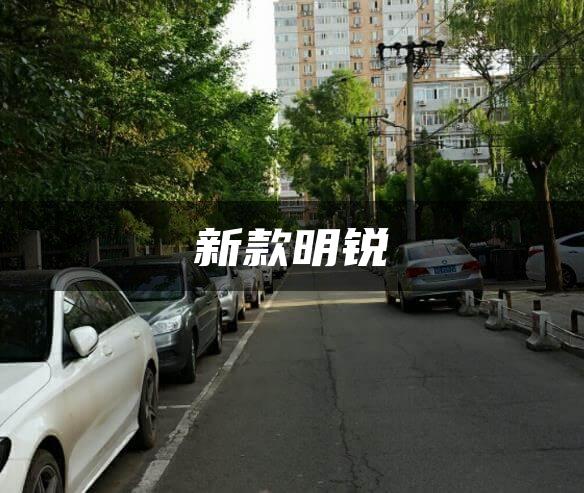 新款明锐