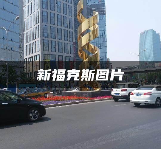 新福克斯图片