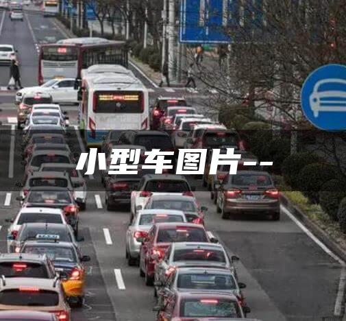 小型车图片–
