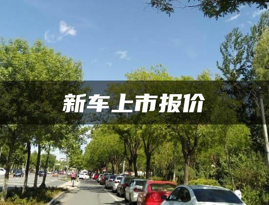 新车上市报价