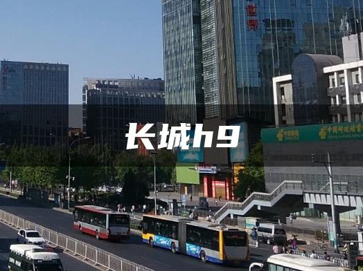 长城h9