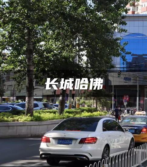 长城哈佛
