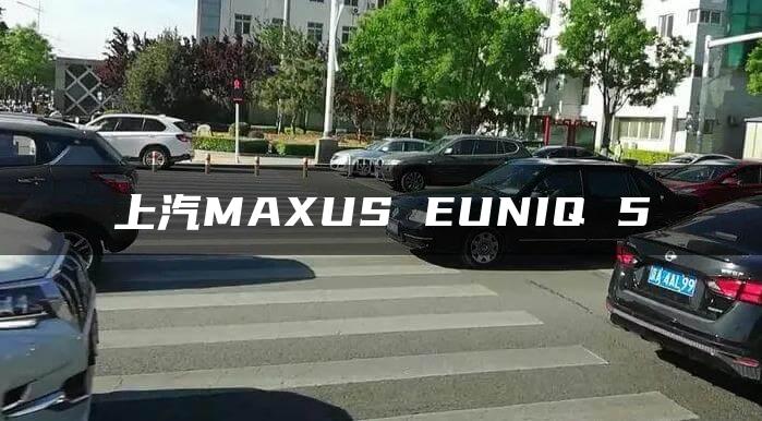 上汽MAXUS EUNIQ 5
