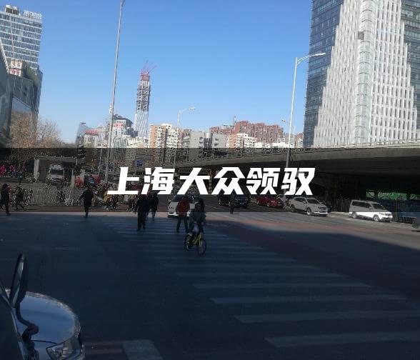 上海大众领驭